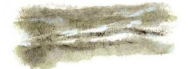 Illustration 19