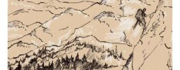 Illustration 8